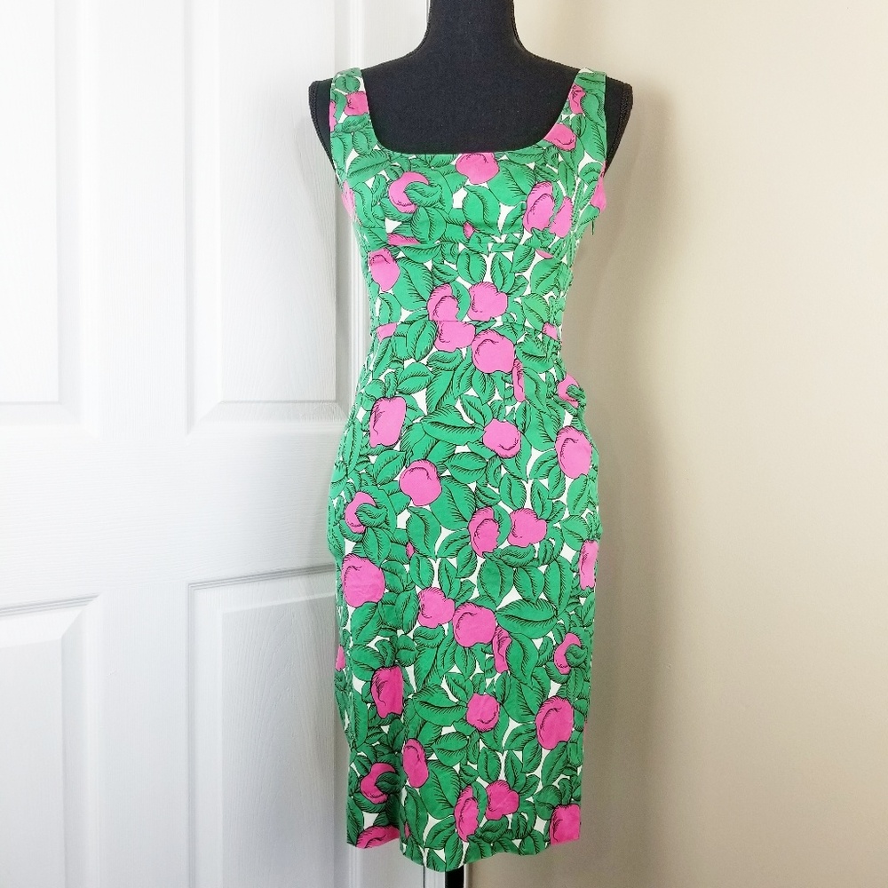 Diane Von Furstenberg Pink/Green Print Dress